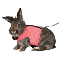 Peitoral com trela elastica para coelhos gandes